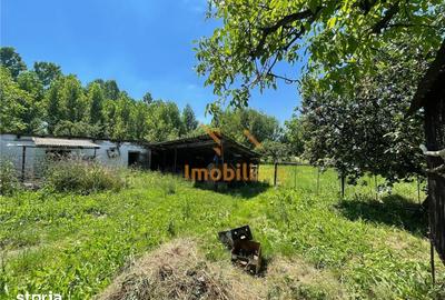 Casă cu 5 camere cu Teren 6770 Mp în Măgești - 15
