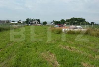 Casă cu 2 camere cu Teren 2000 Mp în Central - 4