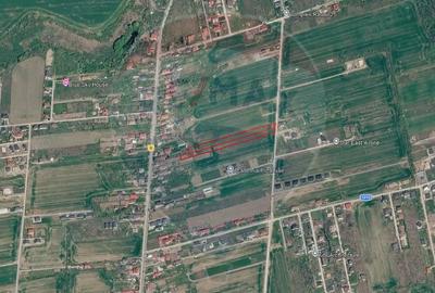Teren de 7013 mp, în Balotești - 2
