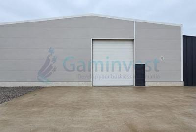 Spațiu industrial, de 447 mp, în Oșorhei