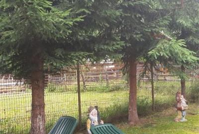 Casă cu 4 camere în Lepșa - 5
