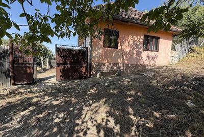 Casă cu Teren 2500 Mp în Prunișor