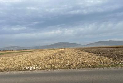 Teren agricol extravilan de 10000 mp, în Prejmer - 3