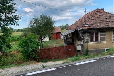 Casă cu 2 camere în Ileanda
