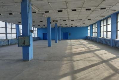 Spațiu industrial, de 700 mp, în 23 August (Cațelul) - 3
