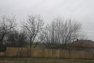 Teren de 2570 mp, în Prundeni - 2