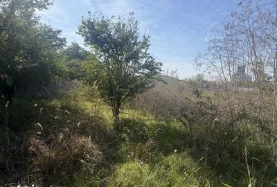 Teren de 500 mp, în Plantelor