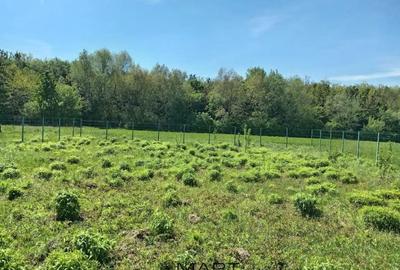 Teren de 837 mp, în Stupini