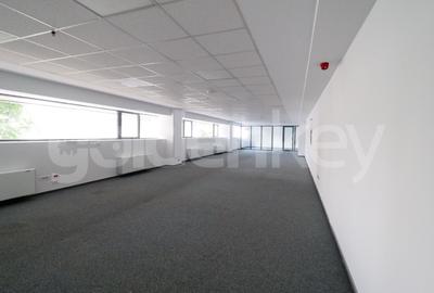 Spațiu comercial, de 303 mp, în Herăstrău