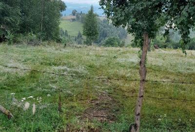 Teren de 8700 mp, în Bran - 1