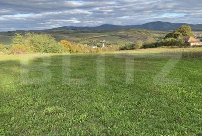Teren de 27000 mp, în Aghireș - 2