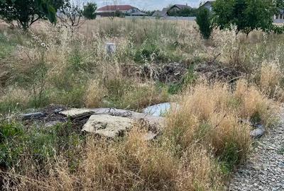 Teren de 3800 mp, în Albești - 6