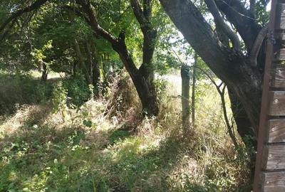 Teren de 1646 mp, în Scorțeni - 2