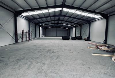 Spațiu industrial, de 596 mp, în Dumbrăvița