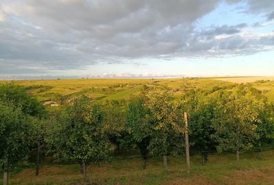Casă cu 4 camere în Esechioi - 1