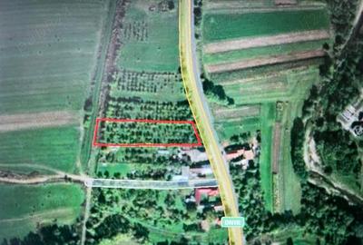 Teren de 2600 mp, în Călata - 1