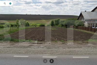 Teren de 5000 mp, în Central