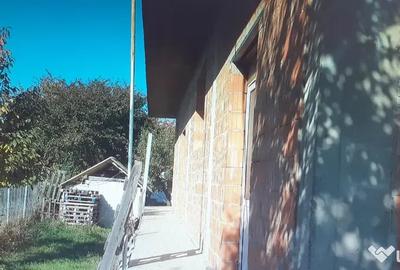 Casă cu 7 camere în Lisaura - 5