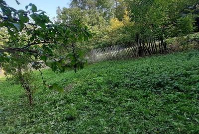 Teren de 2500 mp, în Pietriceaua - 6
