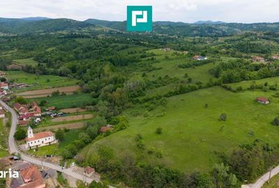 Casă cu 2 camere cu Teren 24494 Mp în Traian Vuia - 8