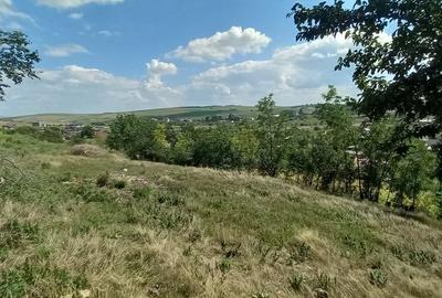 Teren Construcții intravilan de 1410 mp, în Periferie - 2