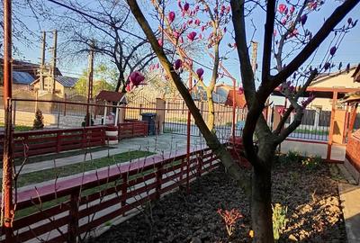 Casă cu 5 camere cu Teren 742 Mp în Brătășanca - 2