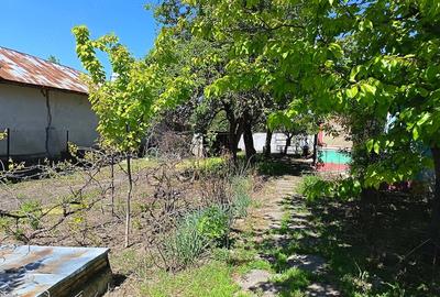 Casă cu Teren 1600 Mp în Vedea - 9