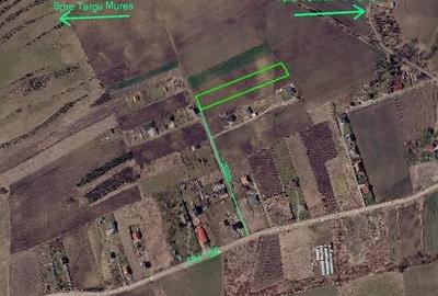 Teren de 5800 mp, în Central