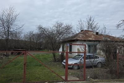 Teren de 24333 mp, în Albești - 3