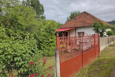 Casă cu 2 camere cu Teren 1900 Mp în Chergheș - 4