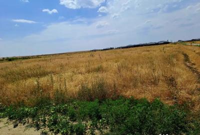 Teren de 415 mp, în Cârcea