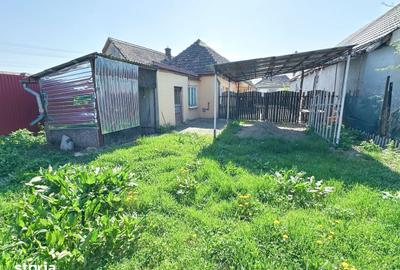 Casă cu 3 camere cu Teren 700 Mp în Adămuș - 10