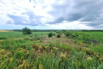 Teren de 4000 mp, în Ovidiu - 4