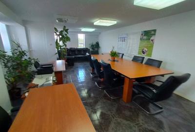 Spațiu comercial, de 950 mp, în Badea Cârțan - 2