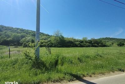 Teren de 407 mp, în Podari