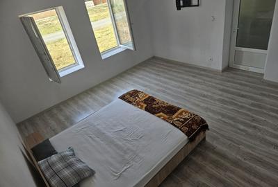 Casă individuală cu 3 camere cu Canalizare în Beregsău Mic - 15