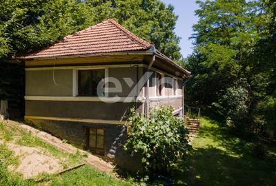 Casă individuală cu 3 camere cu Teren 3288 Mp în Bucea - 1
