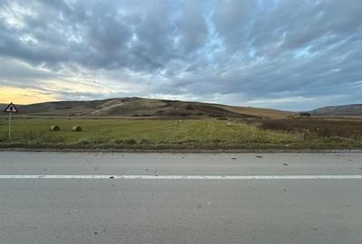 Teren Construcții de 6000 mp, în Cojocna - 5