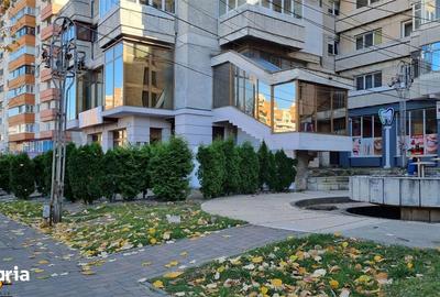 Spațiu comercial, de 398 mp, în Șerbănești - 11