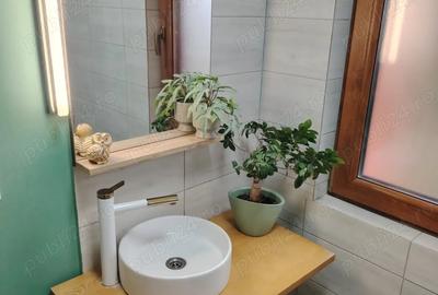 Casă cu 5 camere în Bucovăț (Remetea Mare)