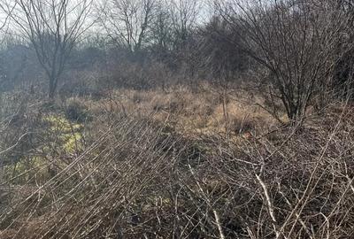 Teren de 1200 mp, în Petrăchioaia - 4