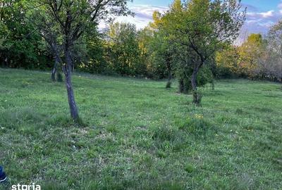 Teren de 5600 mp, în Pianu - 6