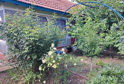 Casă cu 4 camere cu Teren 1280 Mp în Sinești - 2