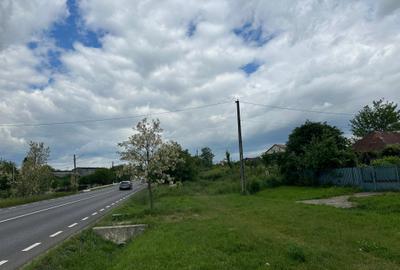 Teren Construcții intravilan de 473 mp, în Albota - 4