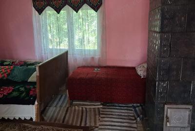 Casă cu 2 camere cu Teren 2526 Mp în Almașu Mare