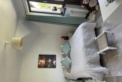 Casă cu Teren 915 Mp în Viișoara - 3