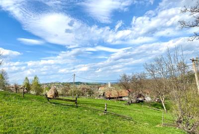 Teren de 3000 mp, în Predeluț