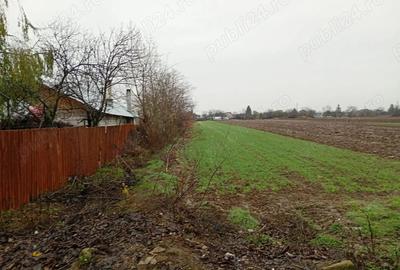 Teren de 3000 mp, în Dărăști-Vlașca - 1