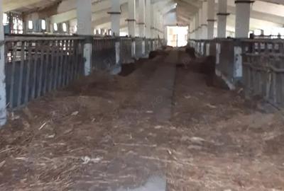 Spațiu comercial, de 4,500 mp, în Șirineasa - 1