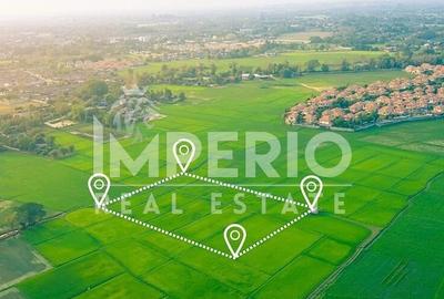 Teren Construcții intravilan de 5098 mp, în Bună Ziua - 1